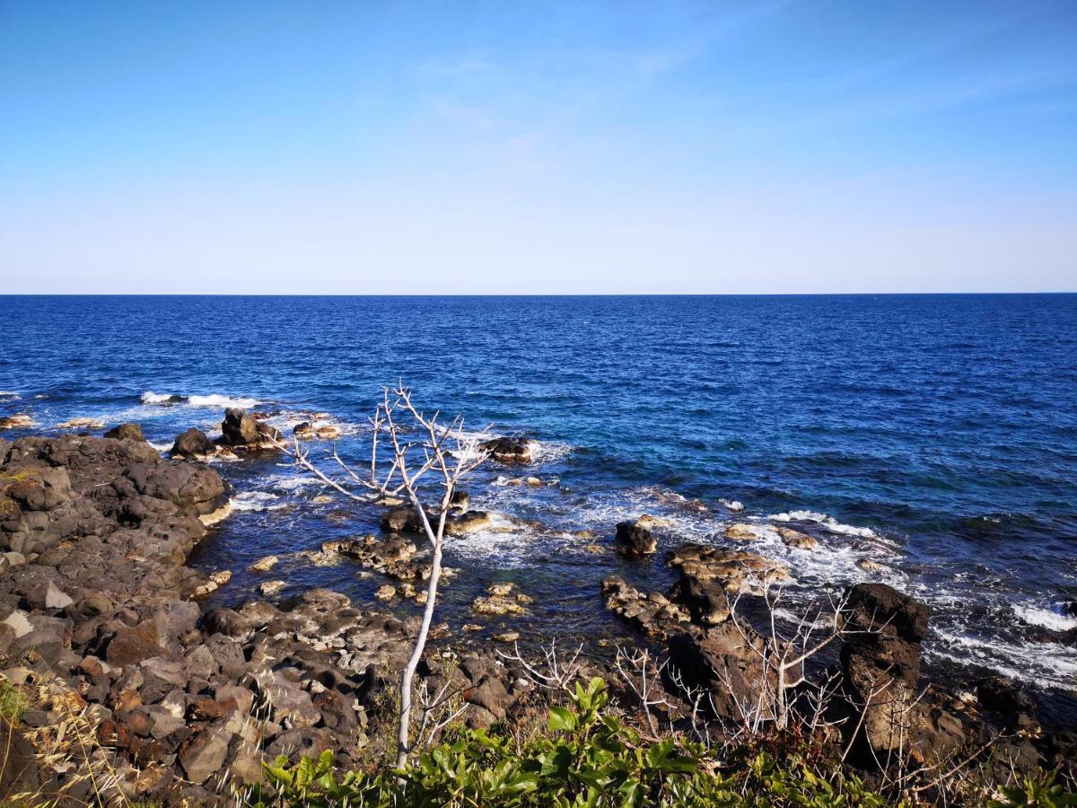 La Lampara Apartment Aci Castello Dış mekan fotoğraf